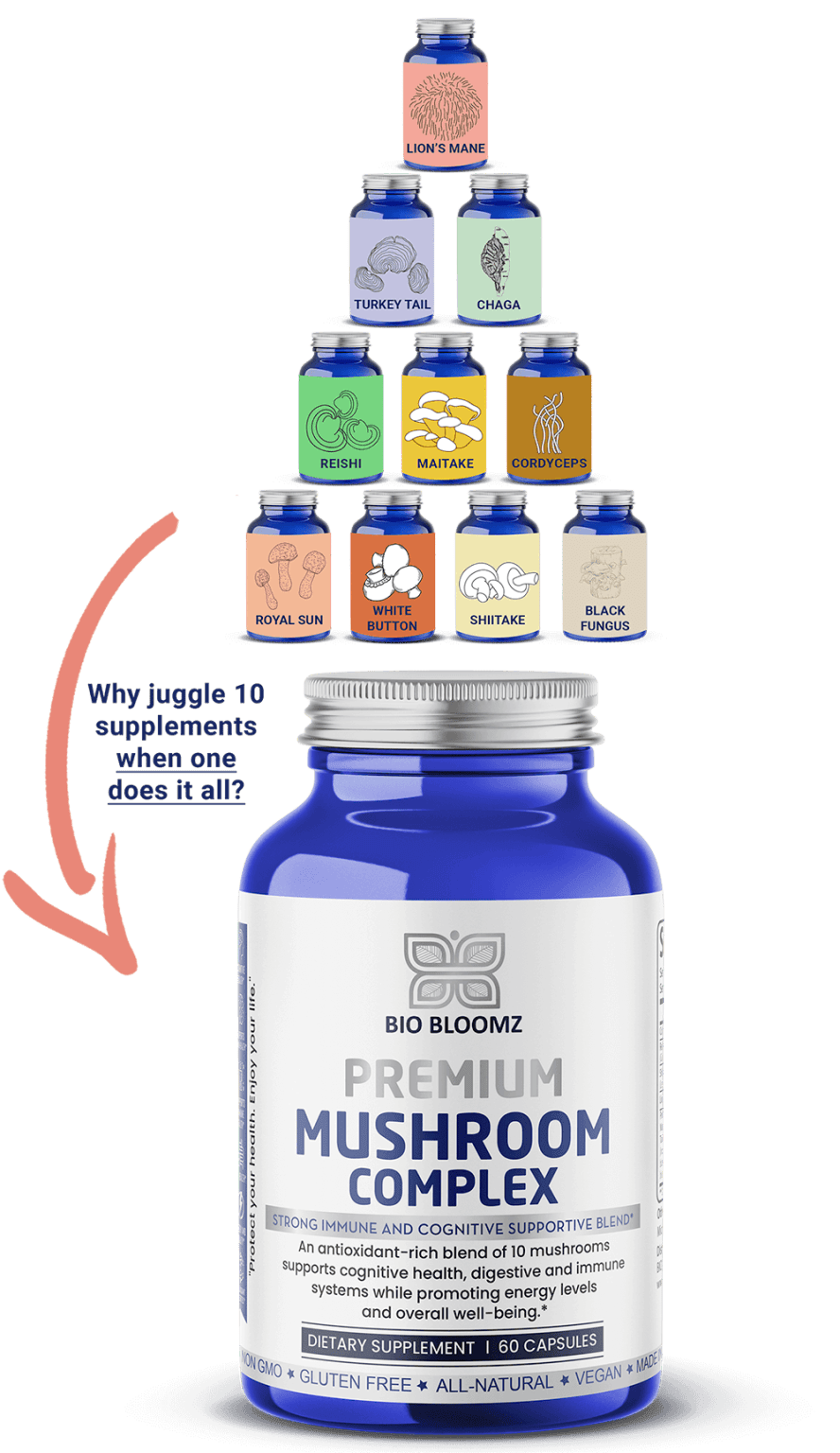 bio bloomz mushroom supplement