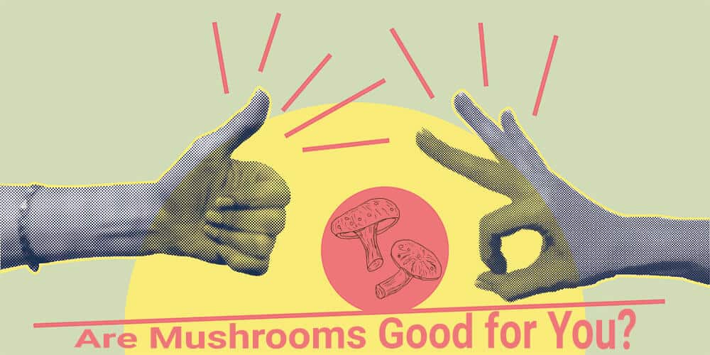 are mushrooms good for you